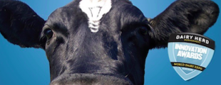 Anna Lukanina is to estimate world's most innovative dairy brands