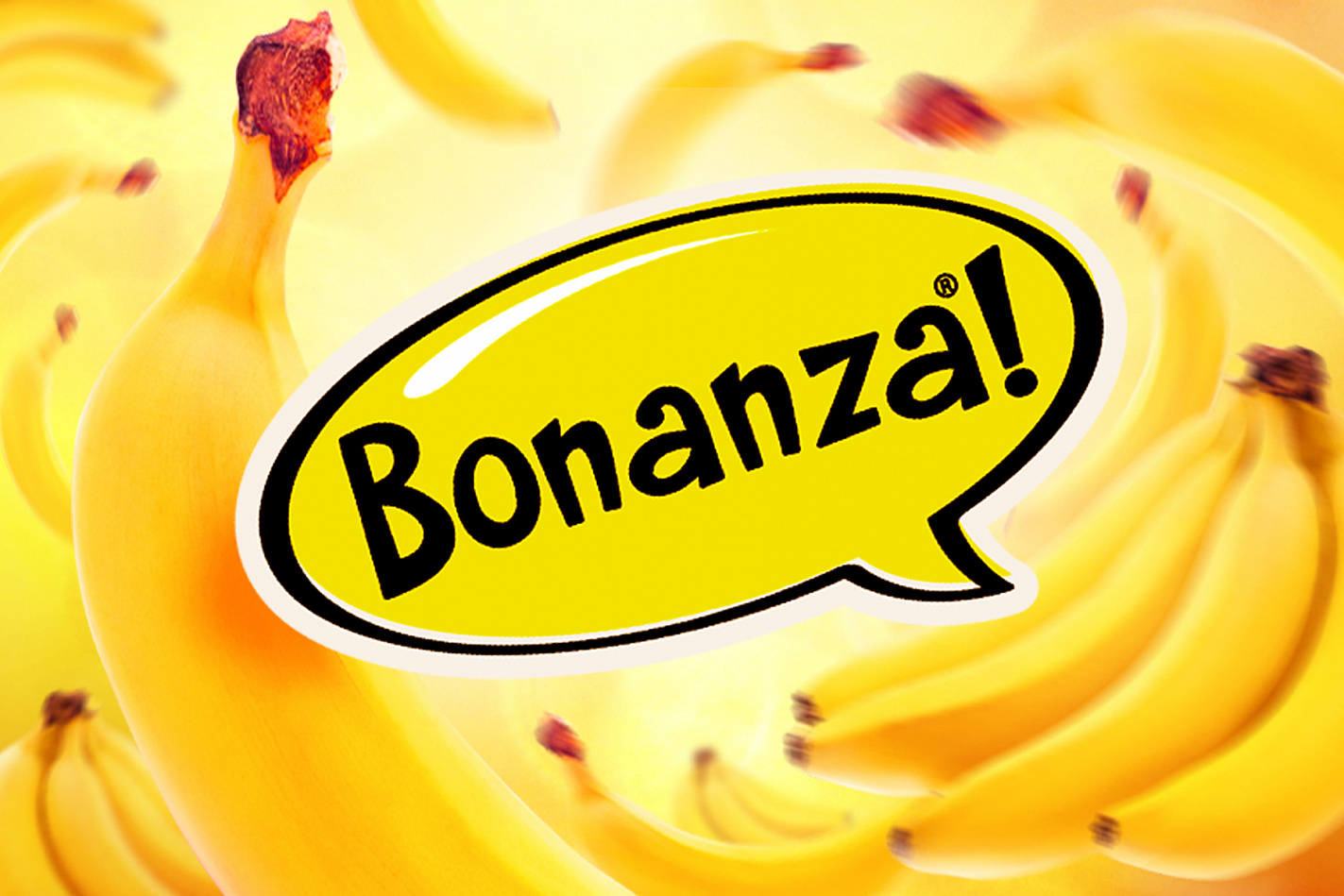 Bonanza - Портфолио Depot