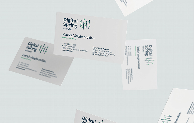 Digital Spring Ventures - Портфолио Depot