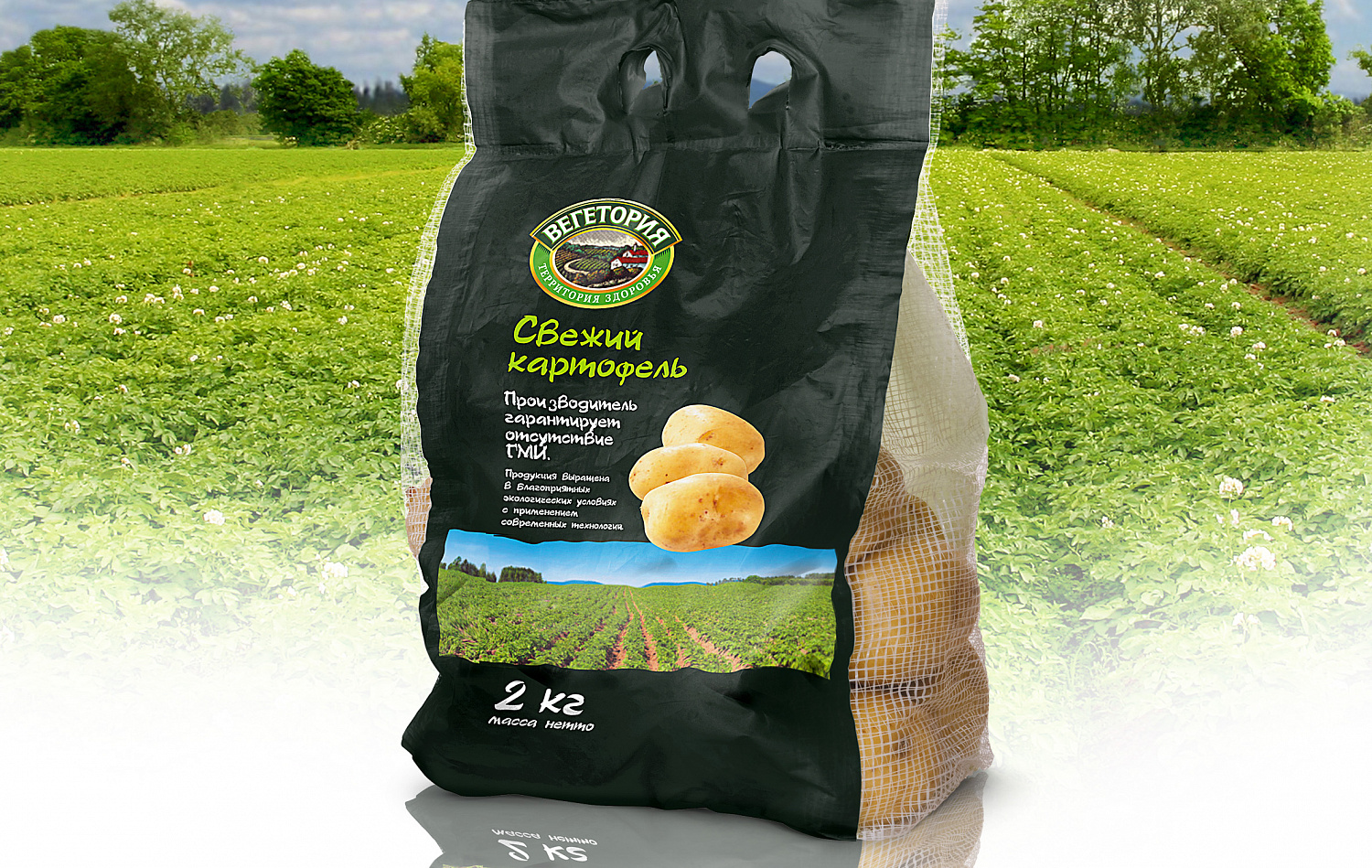 Vegetoriya - Портфолио Depot