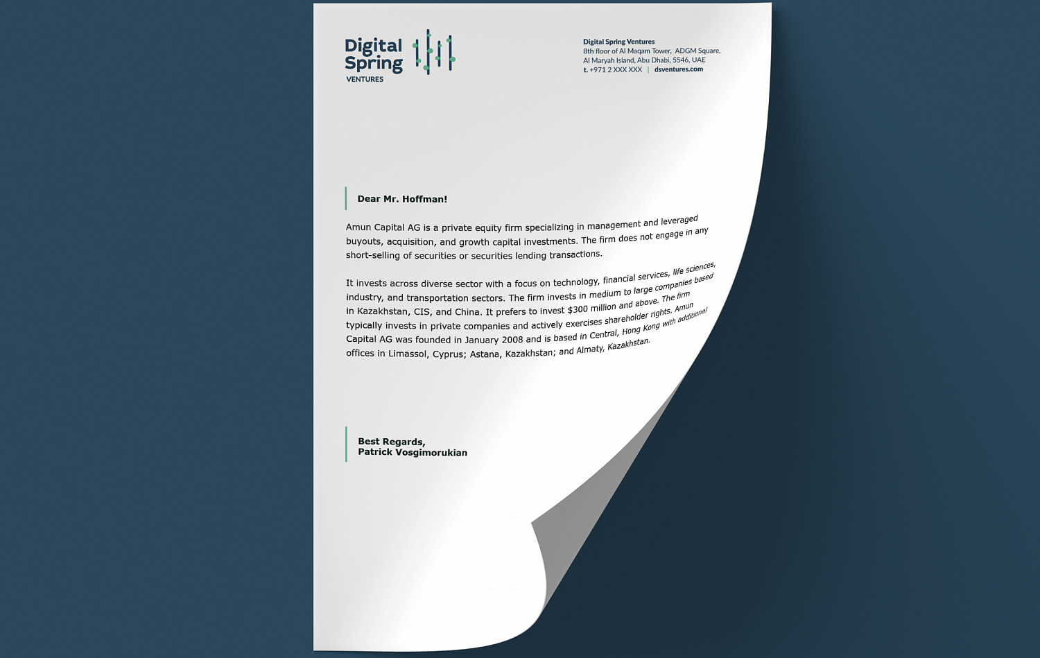 Digital Spring Ventures - Портфолио Depot