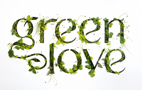 Green Love