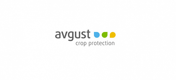 Avgust - Портфолио Depot