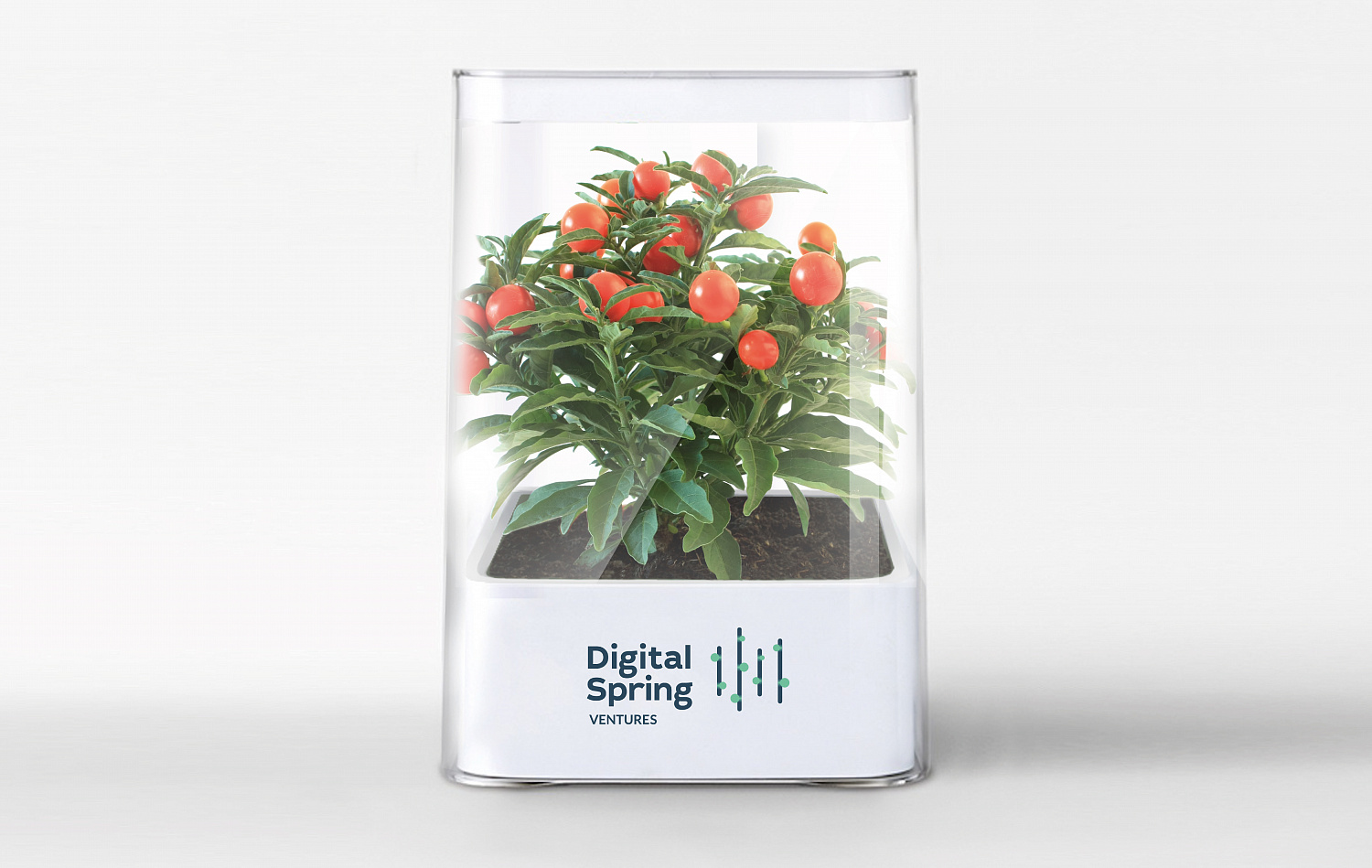 Digital Spring Ventures - Портфолио Depot